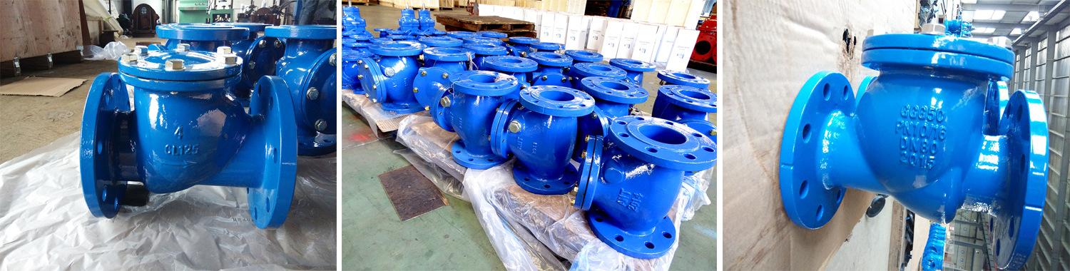 Check Valve