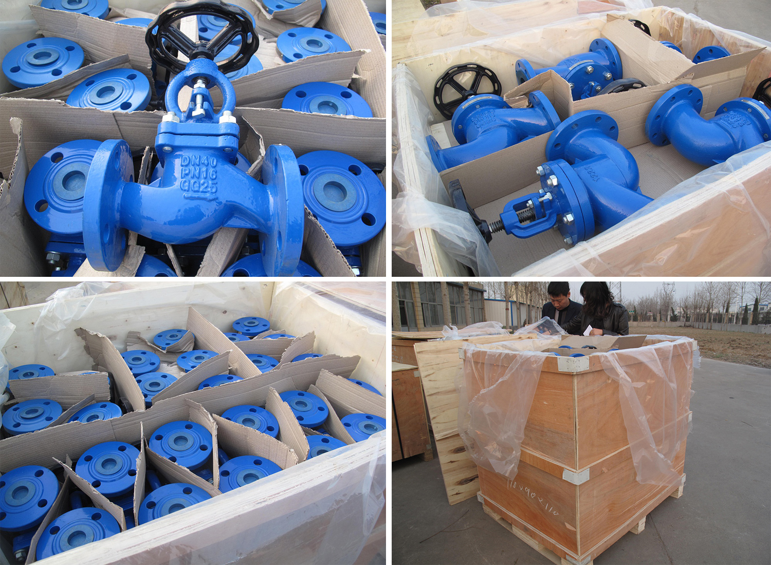 Globe Valve