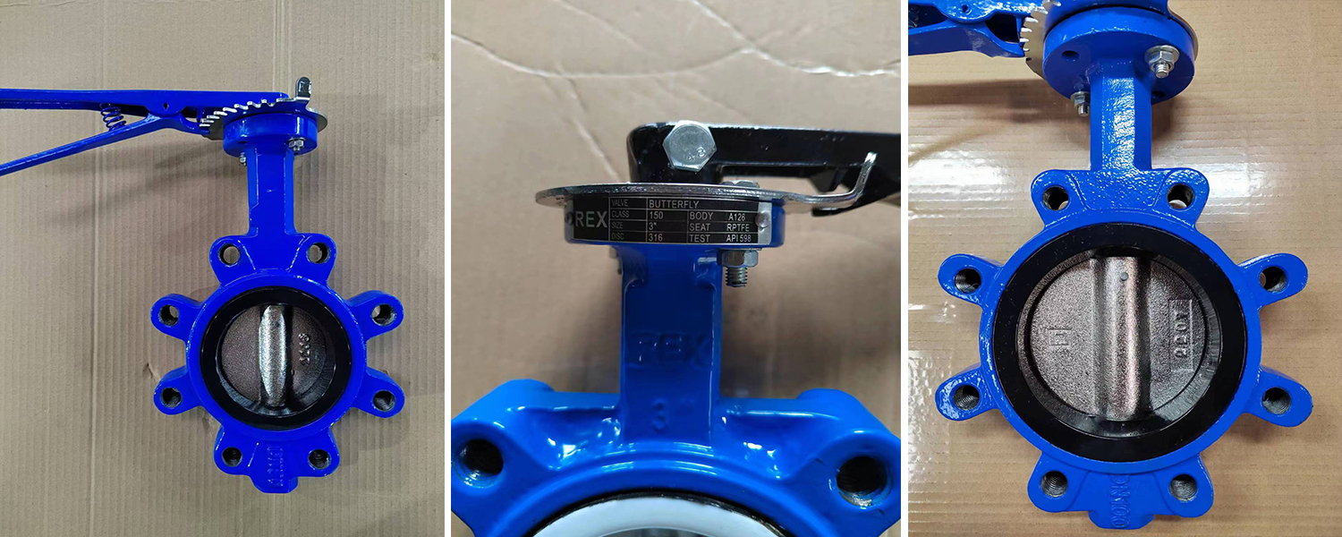 Lug Type Butterfly Valve