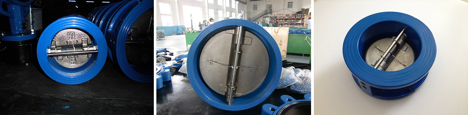 Dual Plate Check Valve