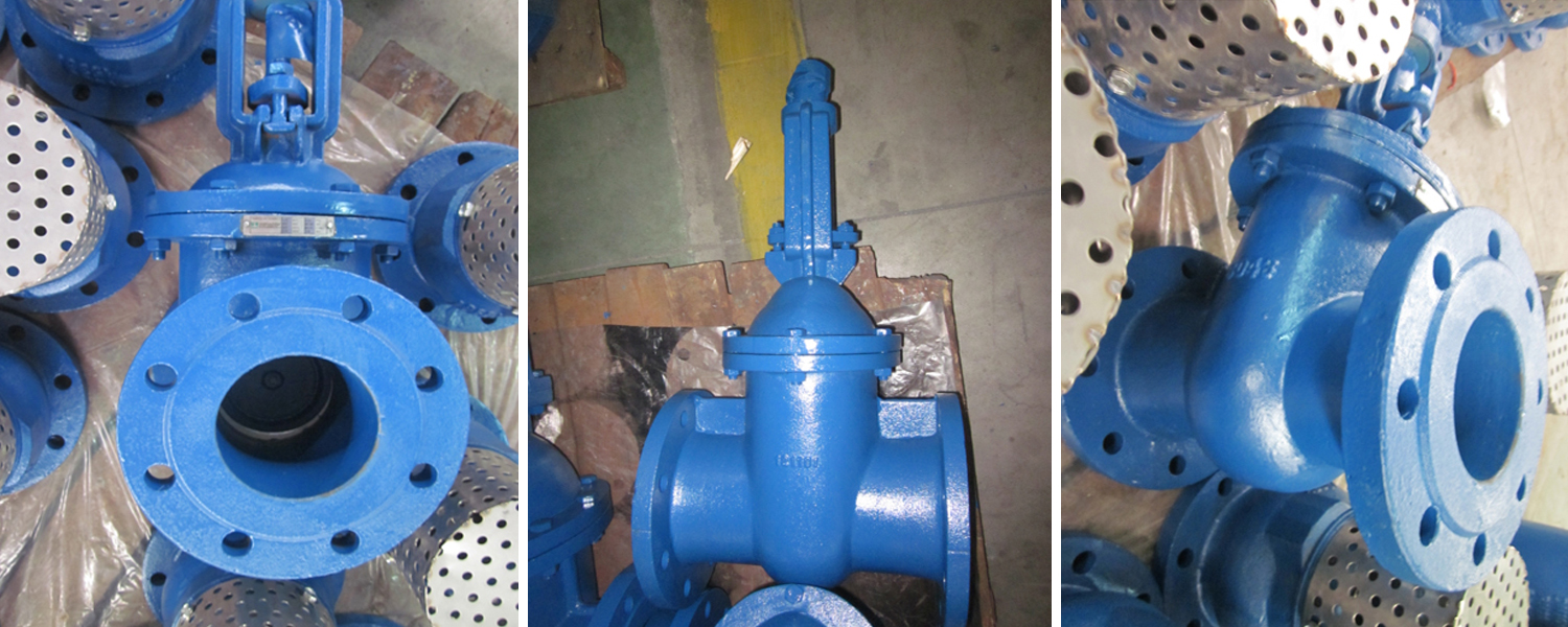 F5 Gate Valve